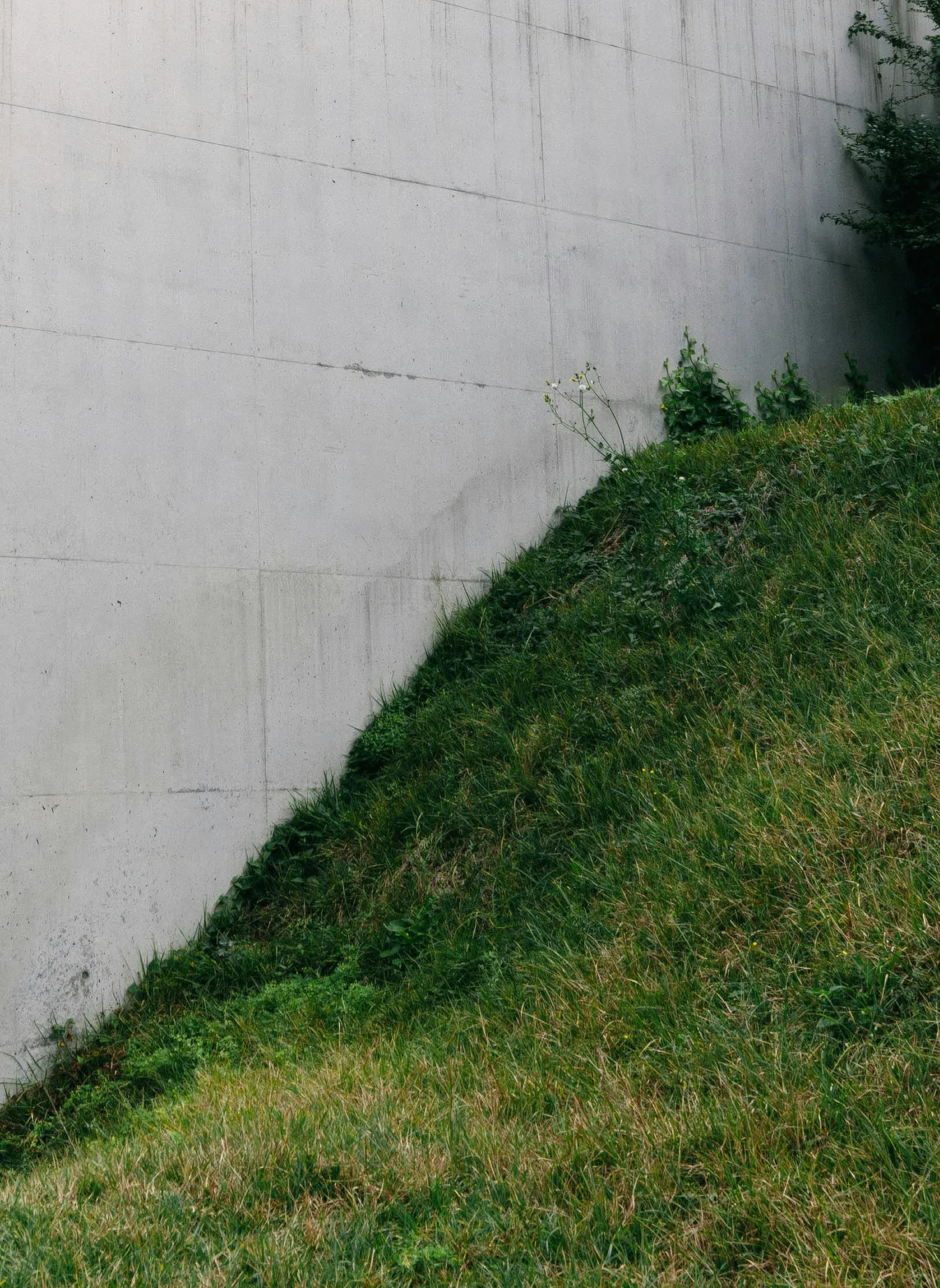 poured concrete retaining wall at a Regina home