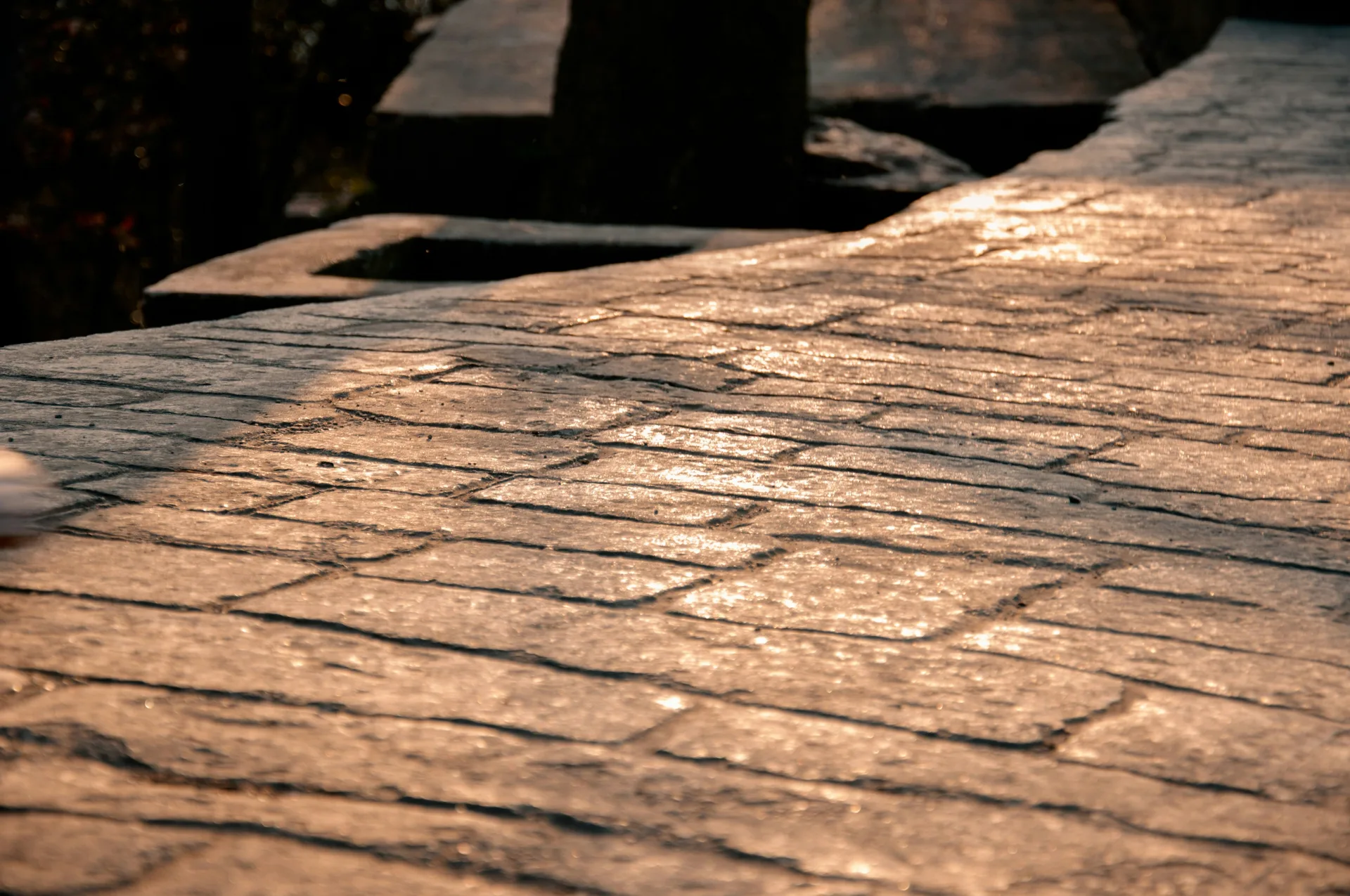 stamped concrete walkway finished at golden hour in Regina